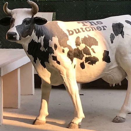 The Butcher-Ducati And Airport Blq Apartment โบโลญญา ภายนอก รูปภาพ