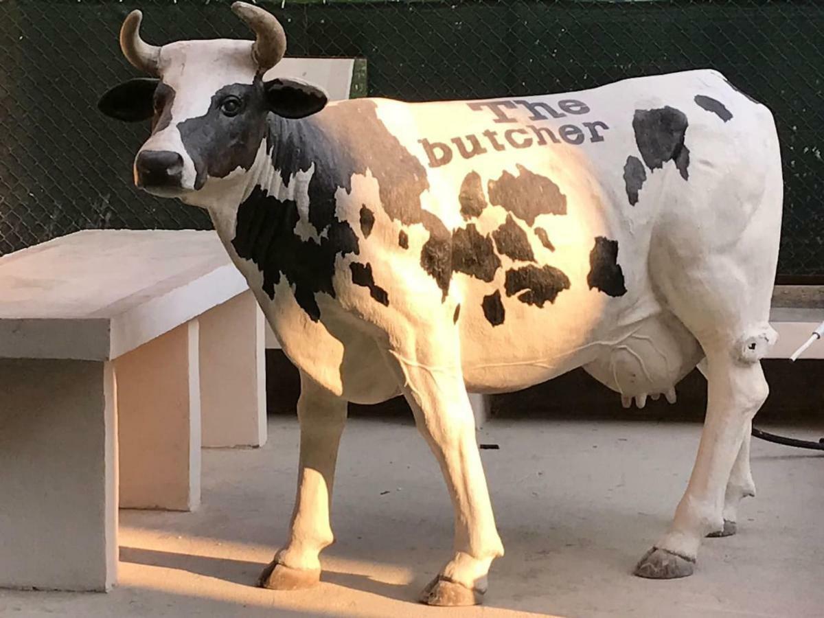 The Butcher-Ducati And Airport Blq Apartment โบโลญญา ภายนอก รูปภาพ